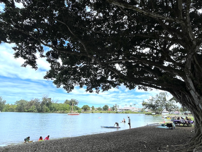 ハワイの海の写真